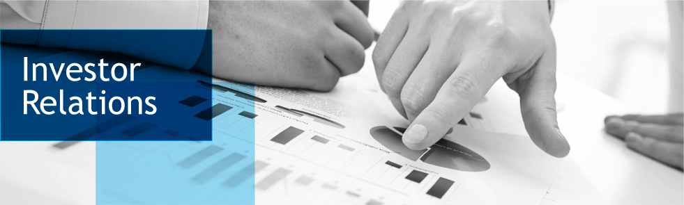 Investor Relations Web Site Design