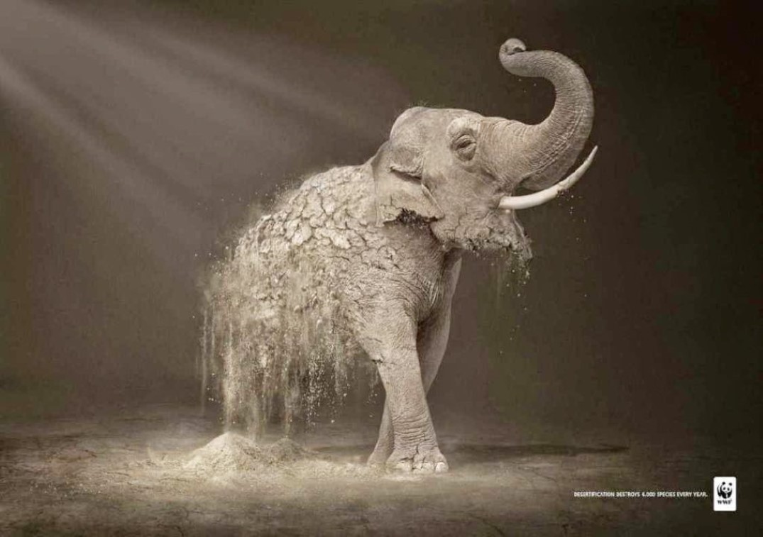 WWF Print Ad Elephany