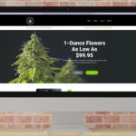 Natural Mystic Cannabis & CBD